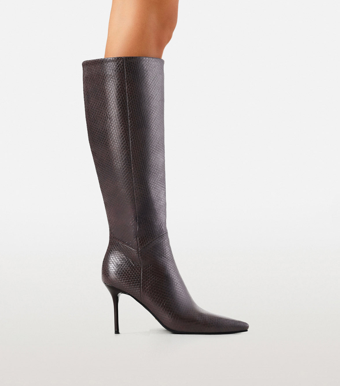 MONTIE - CHOCOLATE SCALE