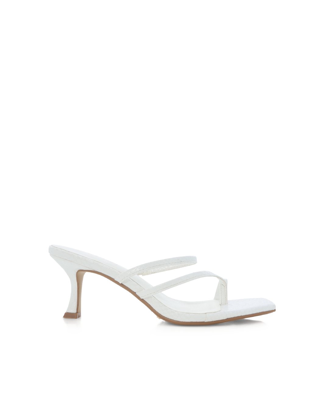 NOLANA - WHITE SNAKE
