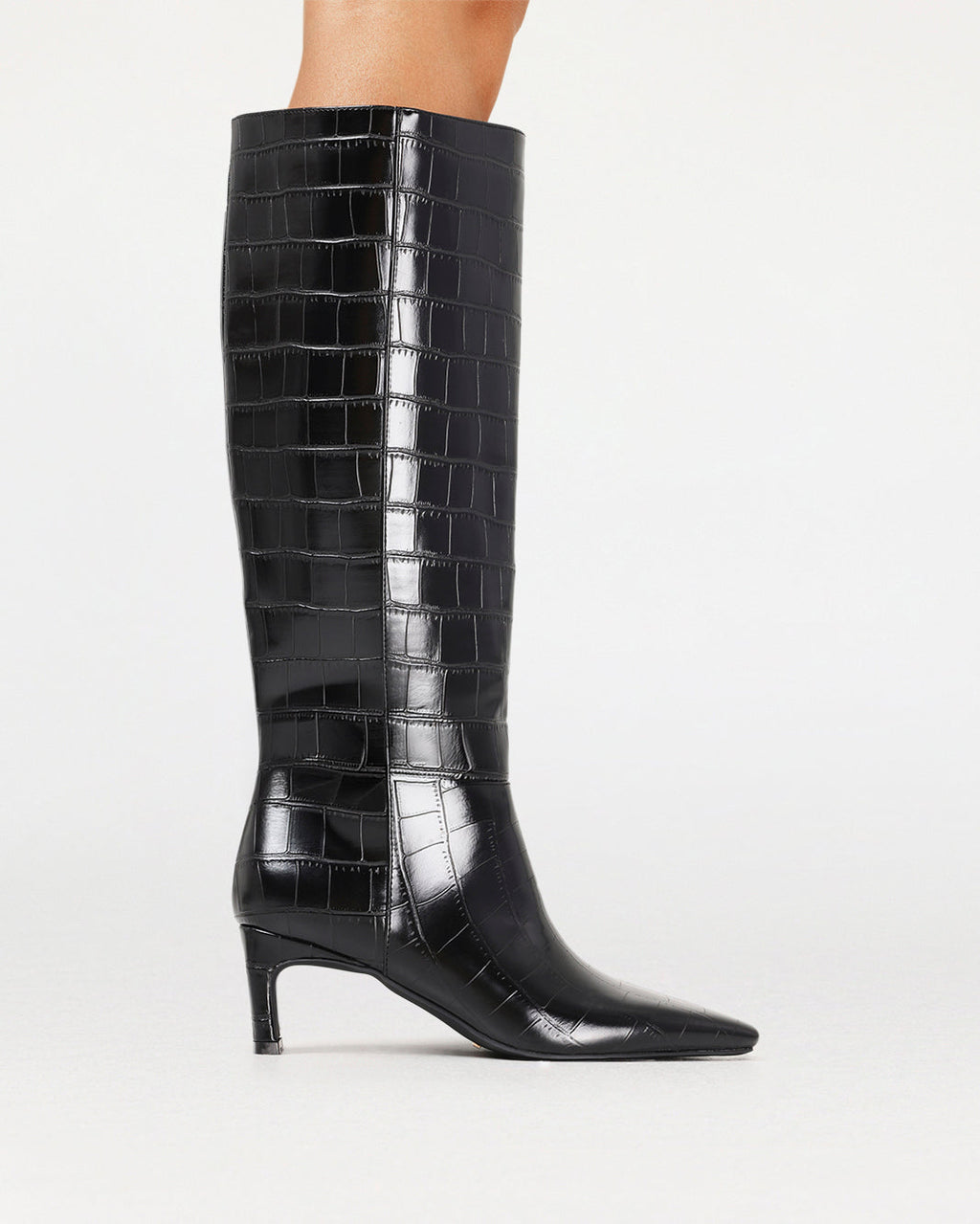 ROCKY - BLACK CROC
