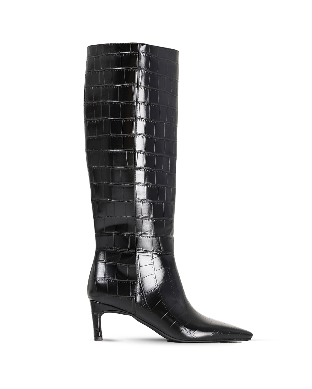 ROCKY - BLACK CROC